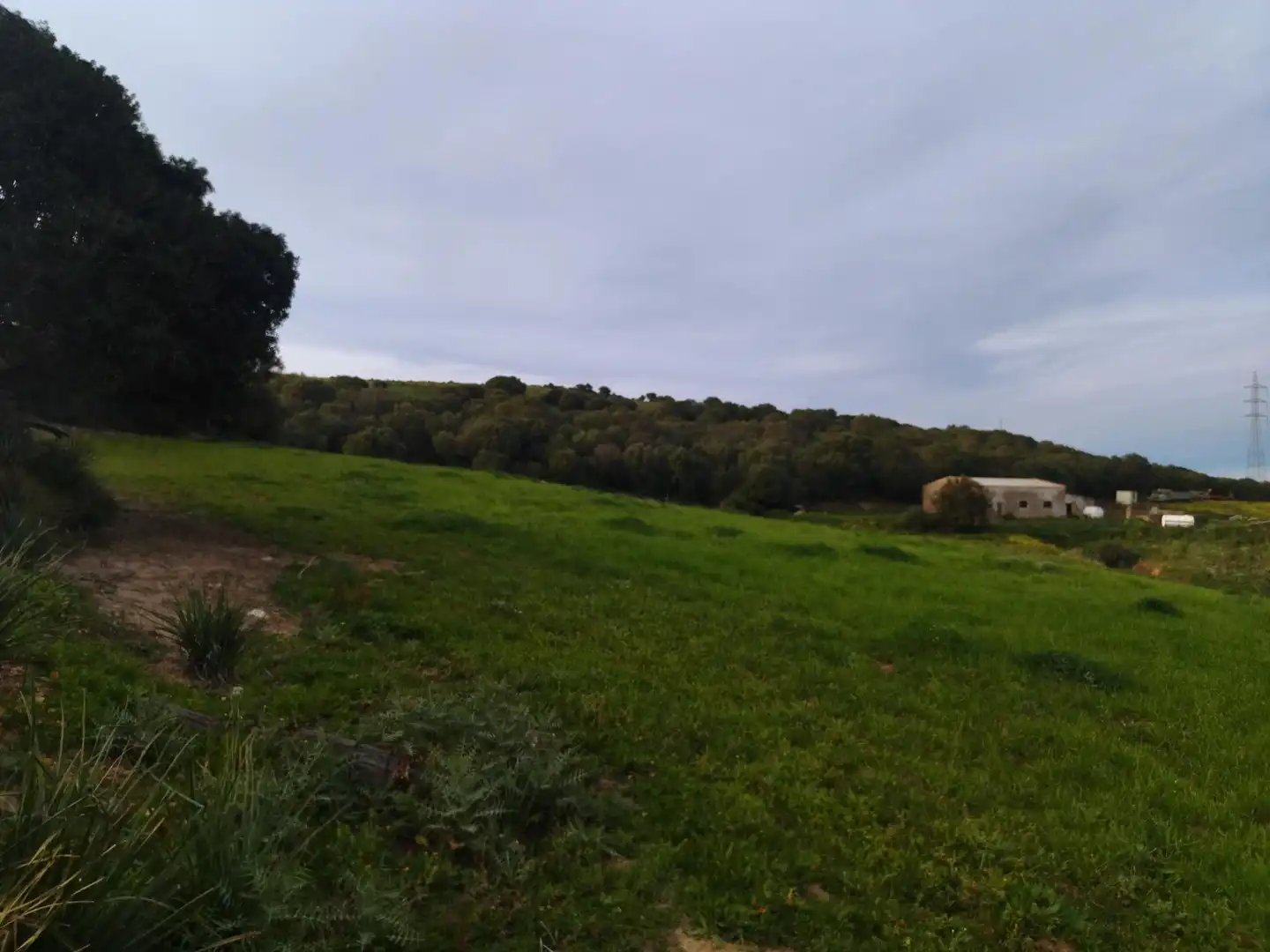 Terreni e lotti in vendita a Medina Sidonia, imagen 15