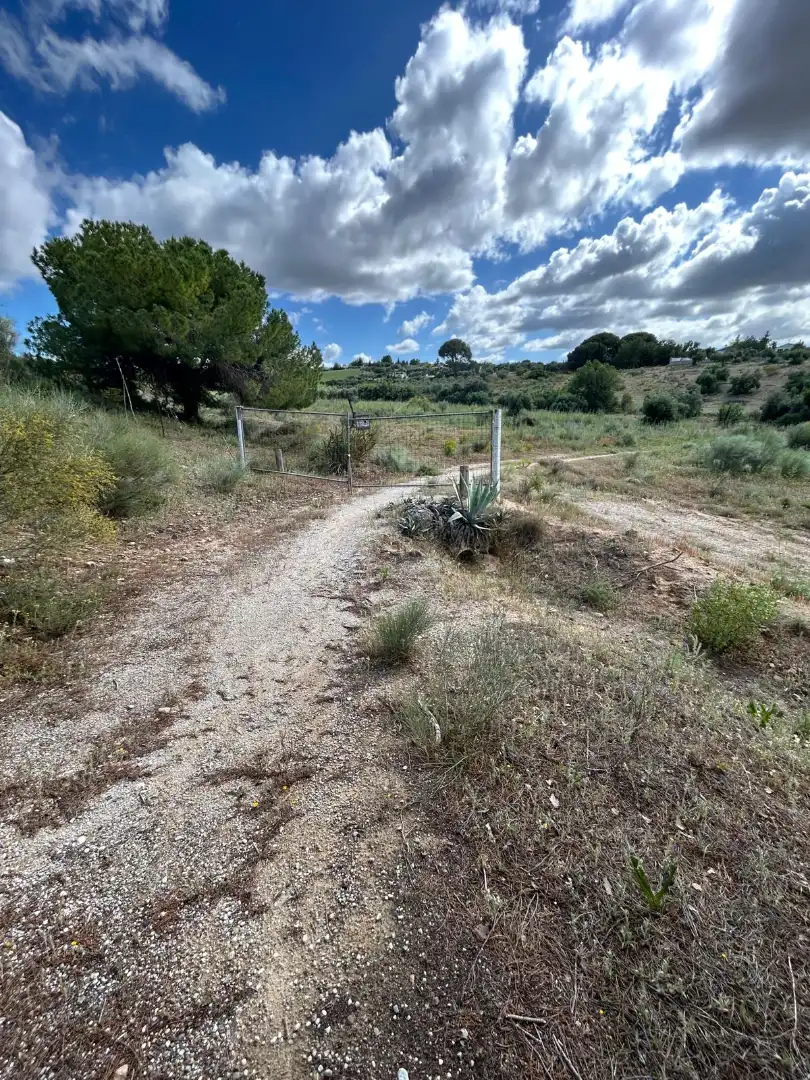 Terrain rustique à vendre à Arcos de la Frontera, imagen 8