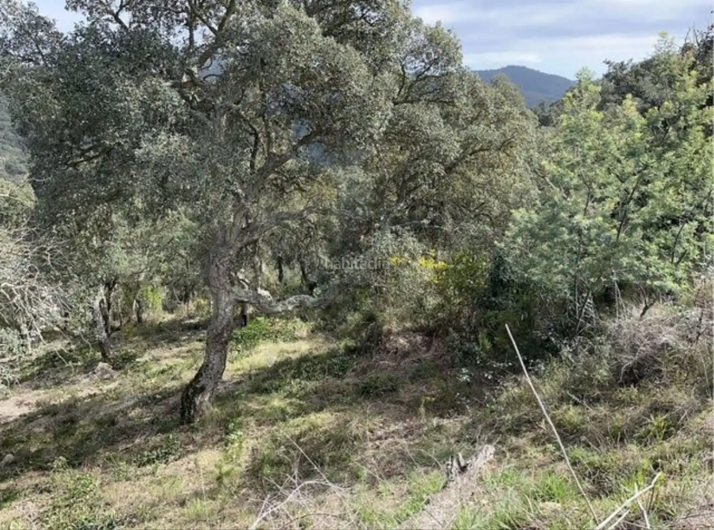 Residential land for sale in Carrer Penya de les Cols 67, imagen 3