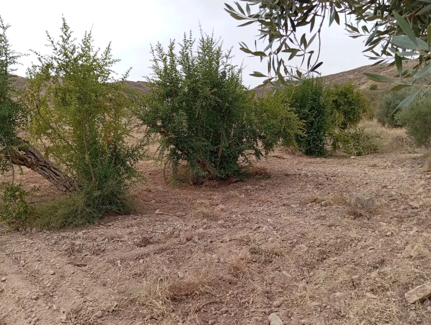 Terreni e lotti in vendita a Bolnuevo, imagen 4