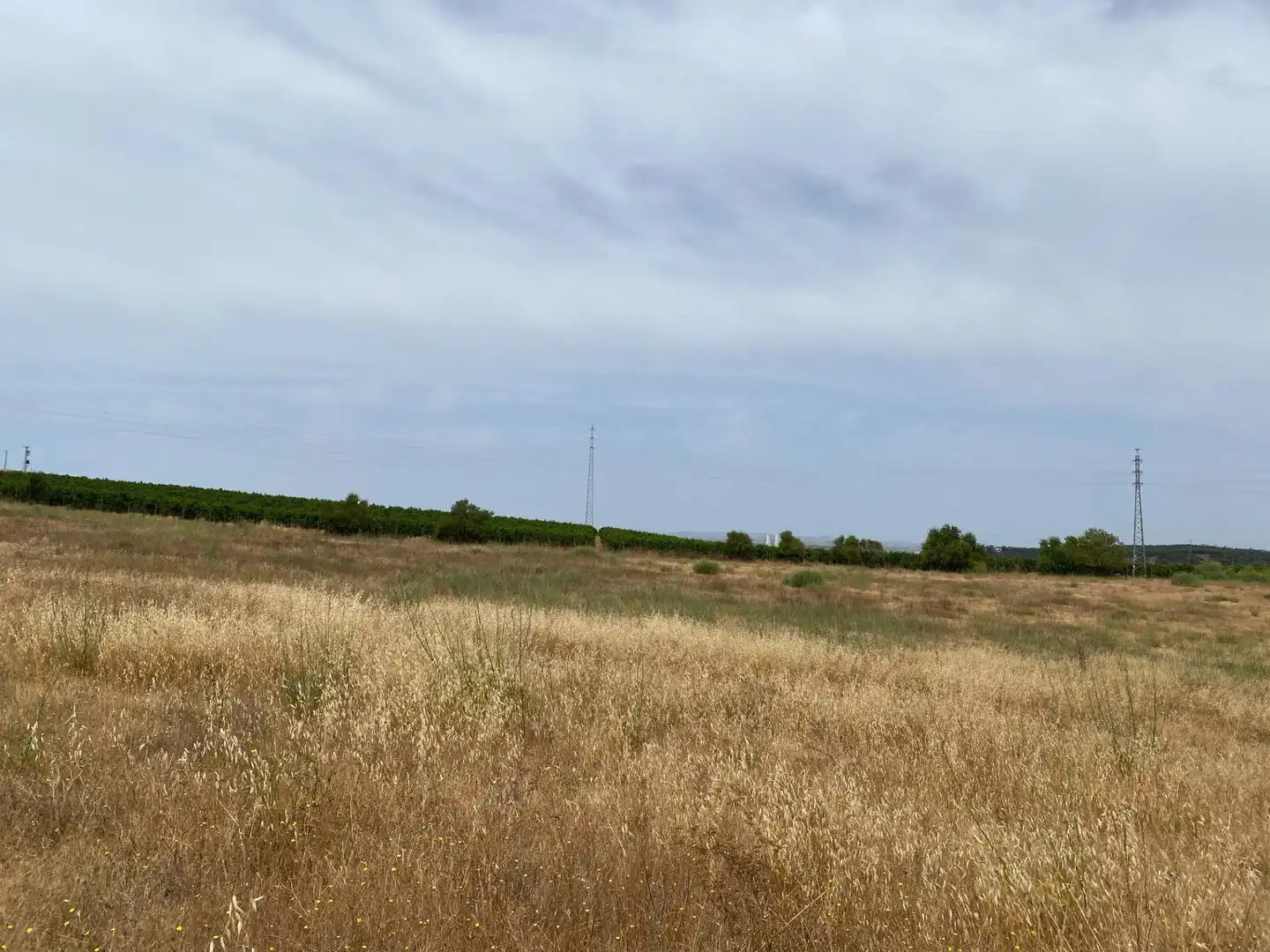 Terreni e lotti in vendita a Vía POLIGONO 15, PARCELA 83, VALDECERRO, imagen 9