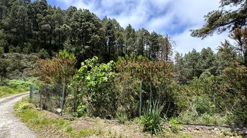 Foto 4 de Residencial en venda a La Peña, 1, La Vega - El Amparo - Cueva del Viento, Santa Cruz de Tenerife