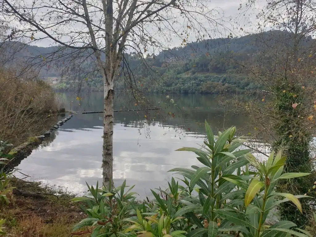 Casa o xalet en venda a laias, Cenlle