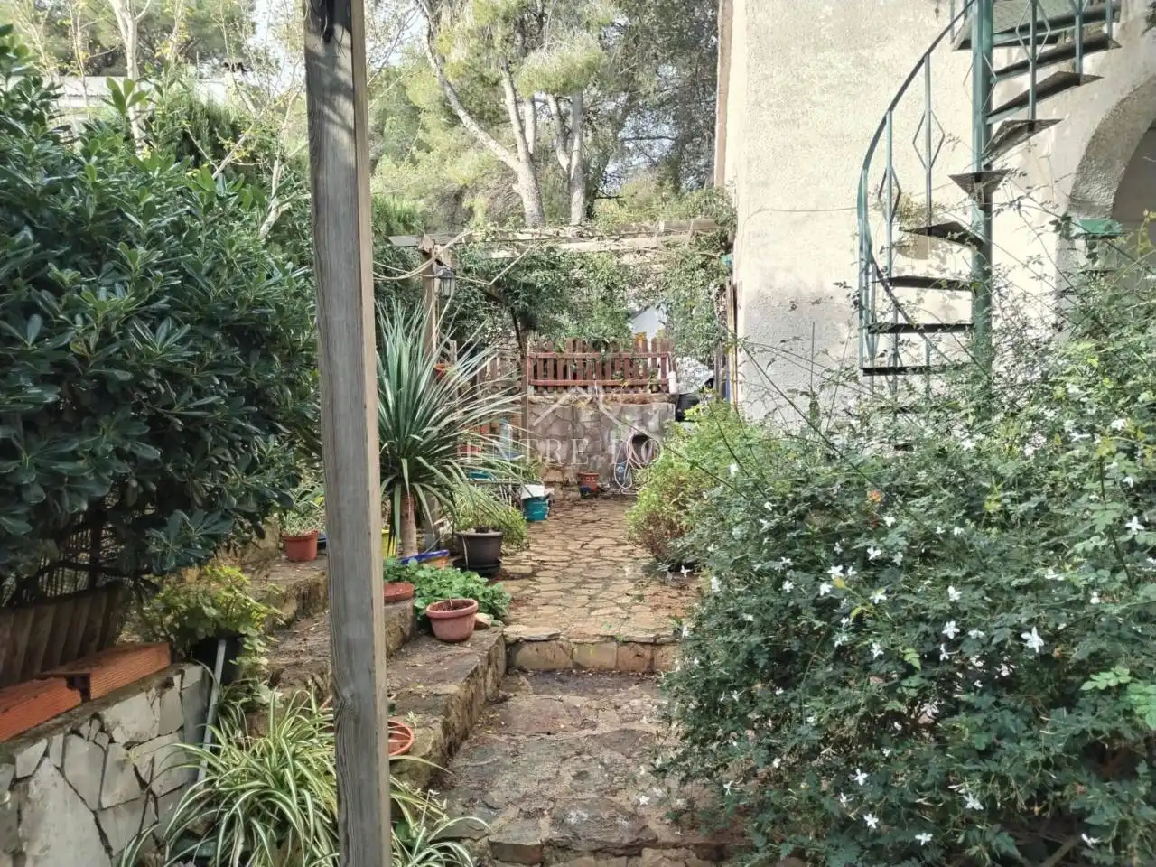 Jardín de Casa o chalet en venta en Alcalà de Xivert con Jardín privado, Terraza y Amueblado