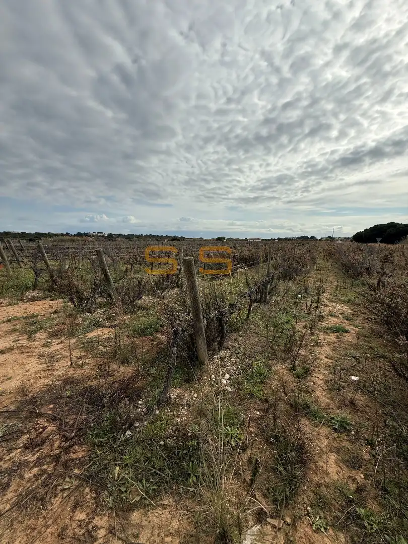Rural land for sale in Sant Salvador, imagen 27