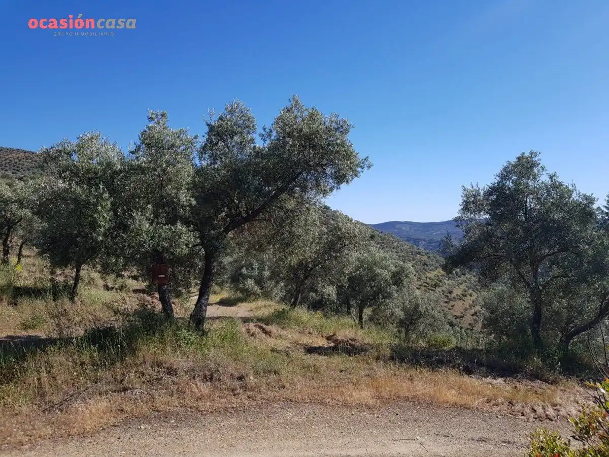Finca rústica en venta en Villanueva de Córdoba con Jardín privado, Trastero y Amueblado