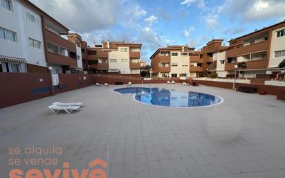 Swimming pool of Flat for sale in Güímar  with Terrace and Swimming Pool