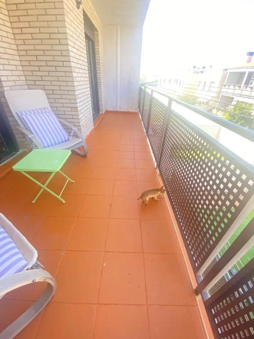 Terraza de Casa adosada en venta en Cintruénigo con Calefacción, Jardín privado y Terraza