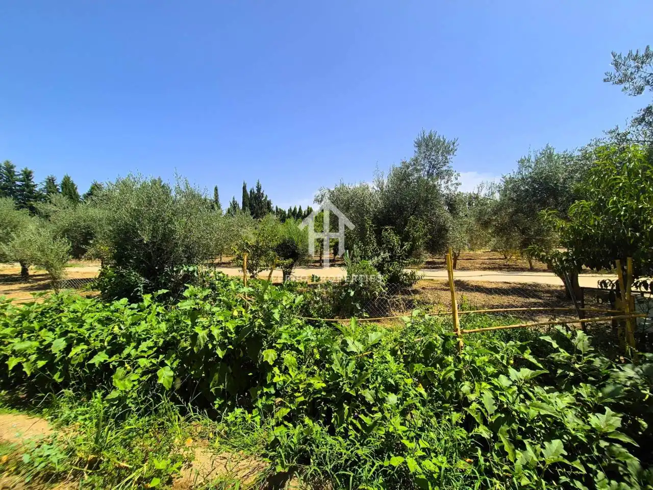 Residential land for sale in Avenida Doctor Rodríguez de la Fuente, imagen 22