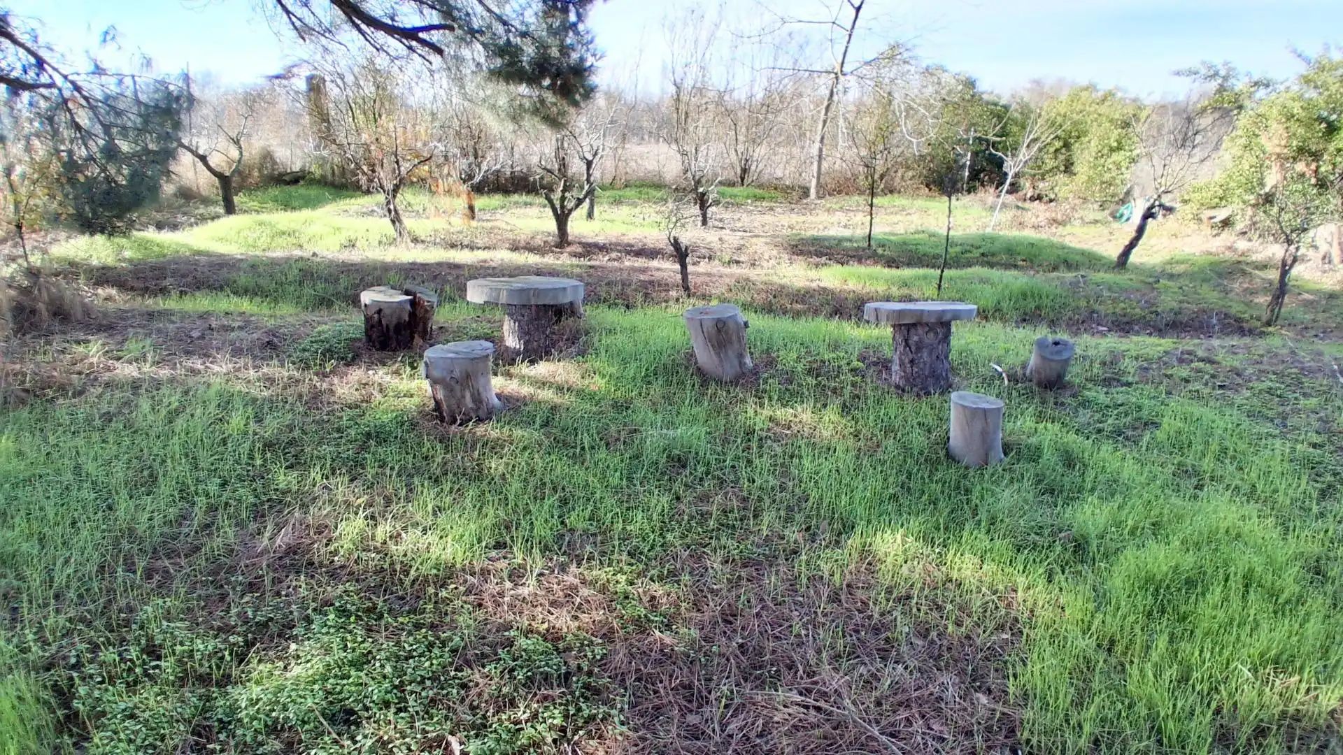 Jardín de Finca rústica en venta en Almenara de Tormes