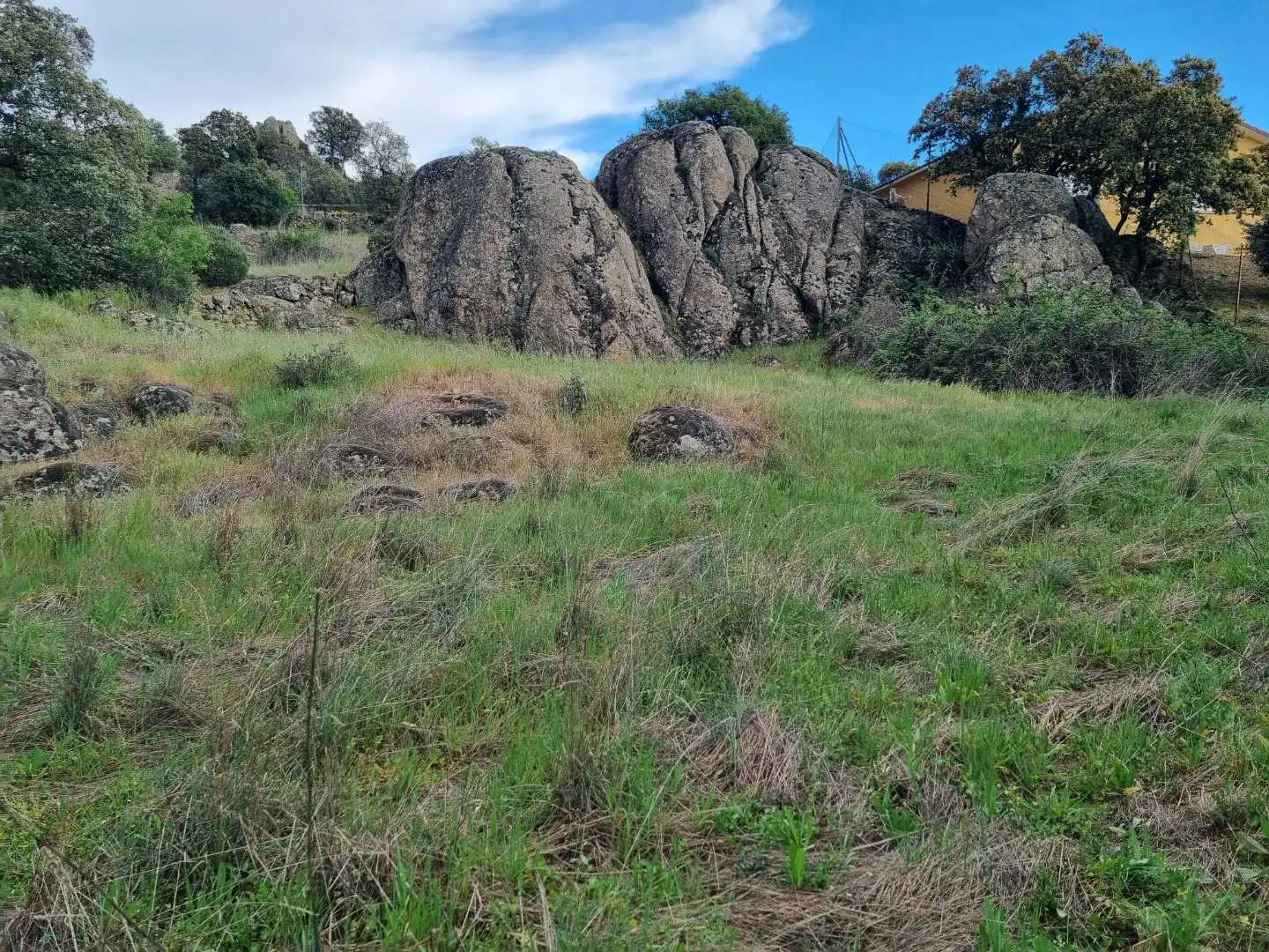 Land for sale in El Vellón