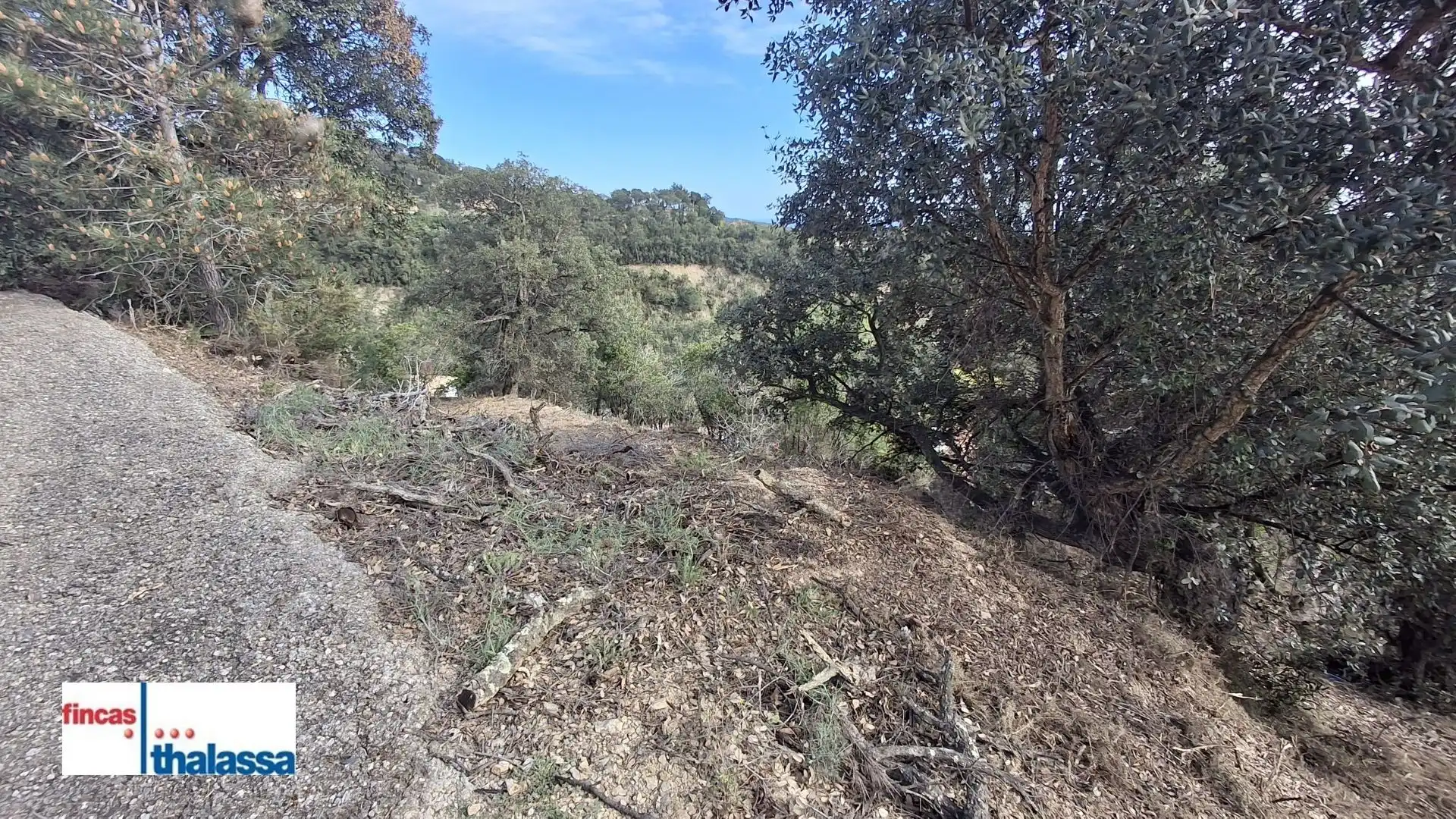 Terrenys i solars en venda a Lloret Verd - Els Pinars, imagen 2
