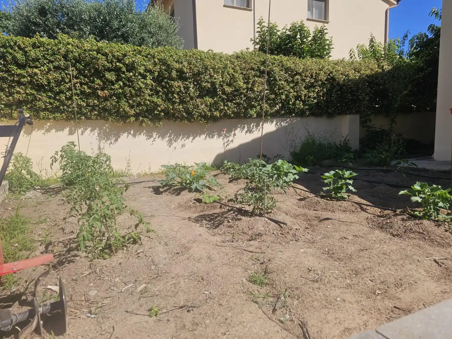 Jardí de Casa o xalet en venda en Collbató amb Aire condicionat, Calefacció i Jardí privat