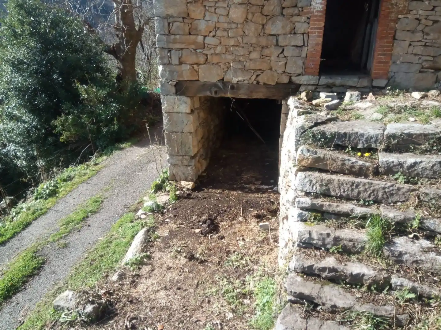 Jardín de Casa o chalet en venta en Belmonte de Miranda
