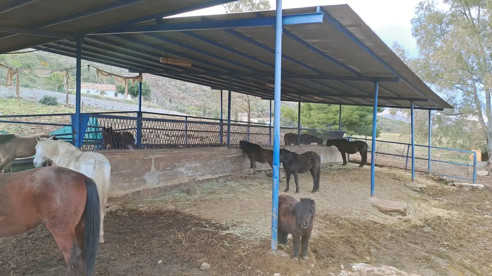 Finca rústica en venda en Mijas