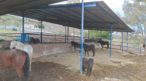 Foto 4 de Finca rústica en venda a Campo de Mijas, Mijas