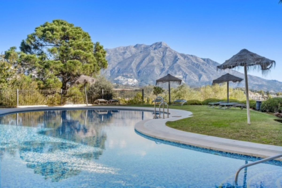 Swimming pool of Apartment to rent in Benahavís  with Air Conditioner, Terrace and Furnished