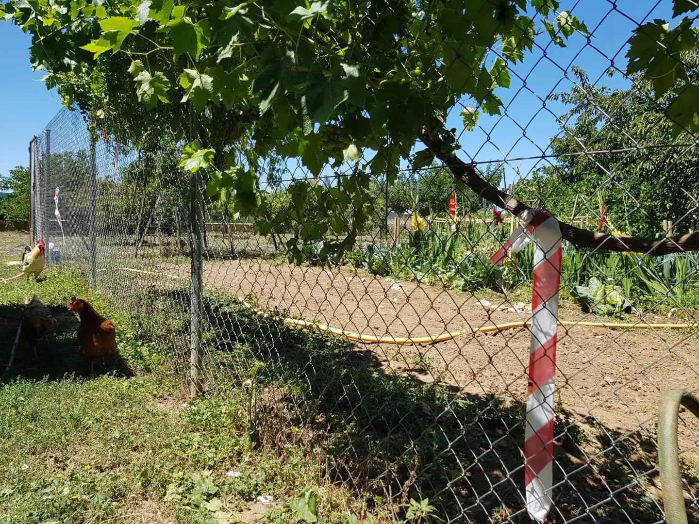 Casa o xalet en venda en Aldehuela de Yeltes amb Calefacció, Moblat i Forn