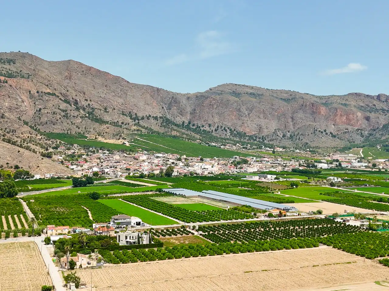 Exterior view of Country homes for sale in Orihuela