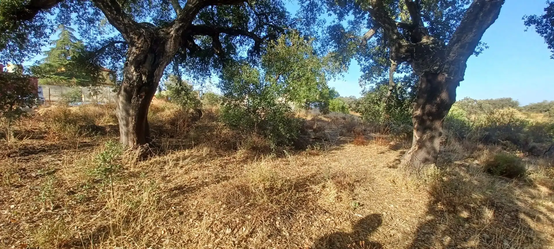 Terreni e lotti in vendita a Castilblanco de los Arroyos, imagen 5
