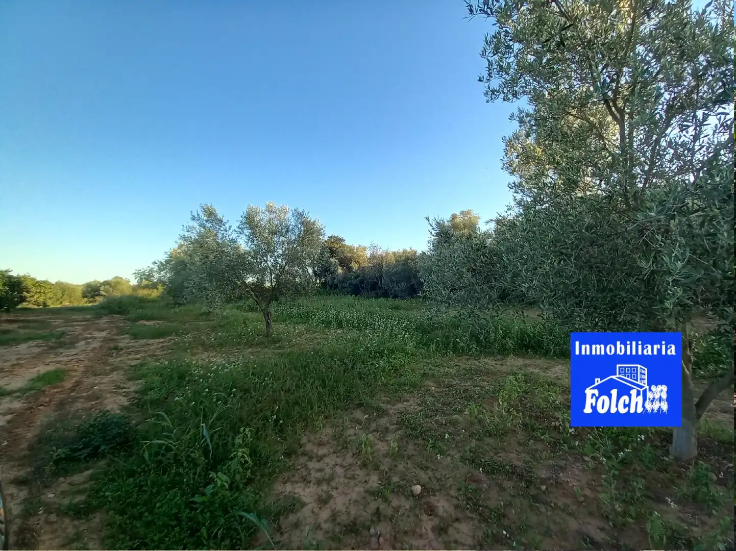 Grundstücke zum Verkauf in Càlig