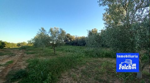 Finca Rústica de Regadío