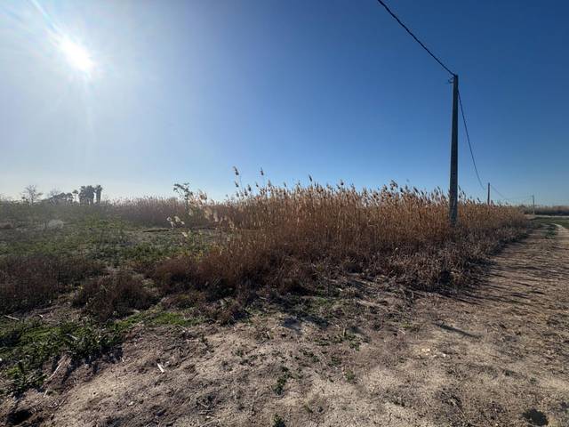 Terreno en Venta en Algorós - El Derramador