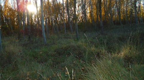 Foto 3 de Terreno en venta en Paseo del Iregua, Albelda de Iregua, La Rioja