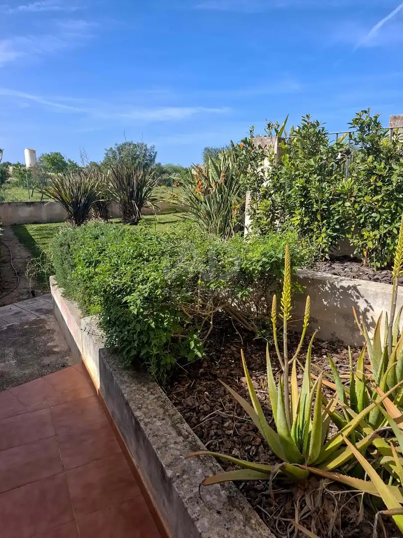 Garten von Wohnung zum Verkauf in Porreres mit Klimaanlage und Heizung