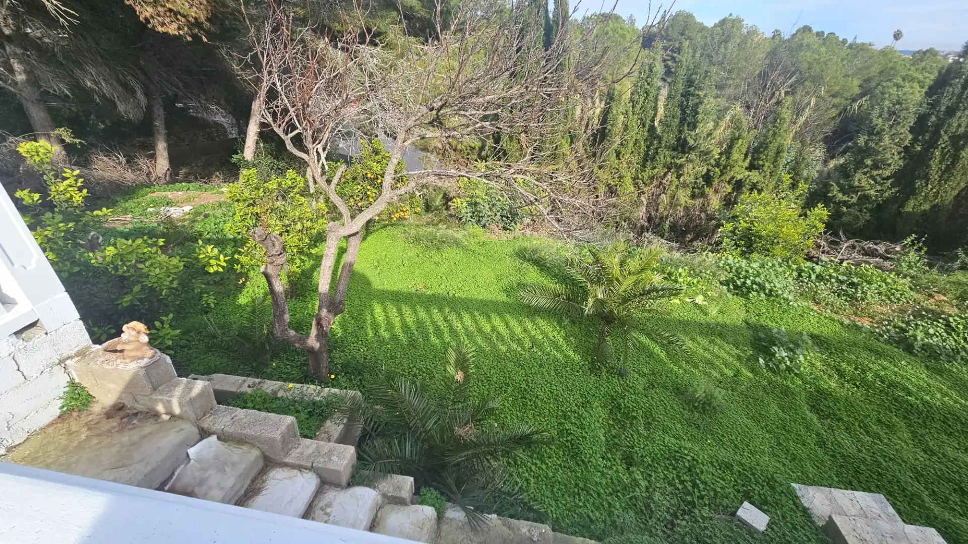 Jardí de Casa o xalet en venda en Torrent amb Aire condicionat, Terrassa i Piscina