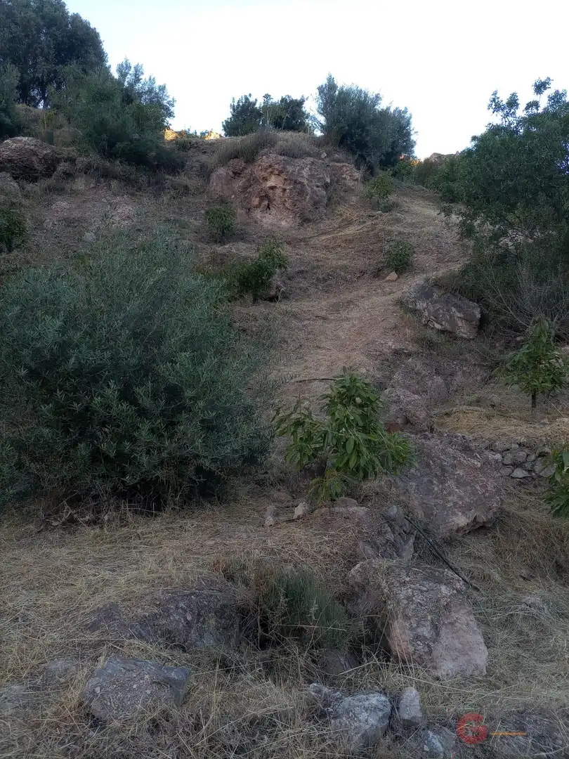 Terrenys i solars en venda a Los Guájares, imagen 16