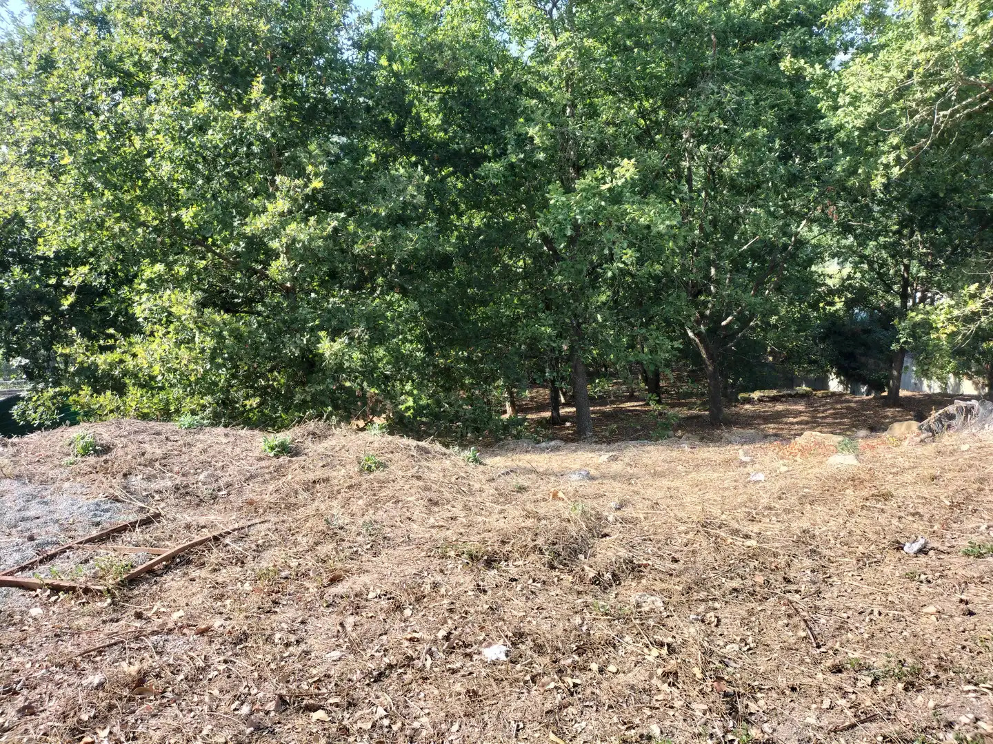 Residential land for sale in San Rosendo, imagen 2