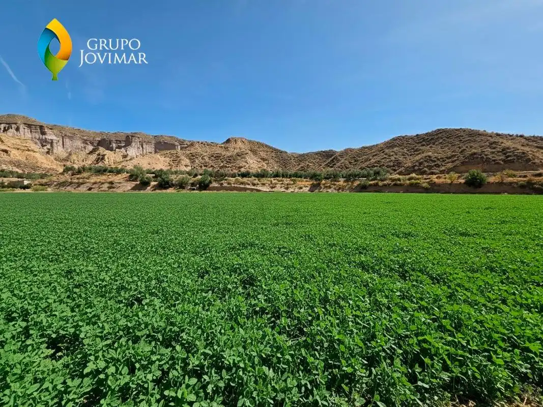 Terreno en venta en Gorafe
