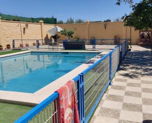 Piscina de Casa o xalet en venda en Montilla amb Terrassa, Piscina i Balcó