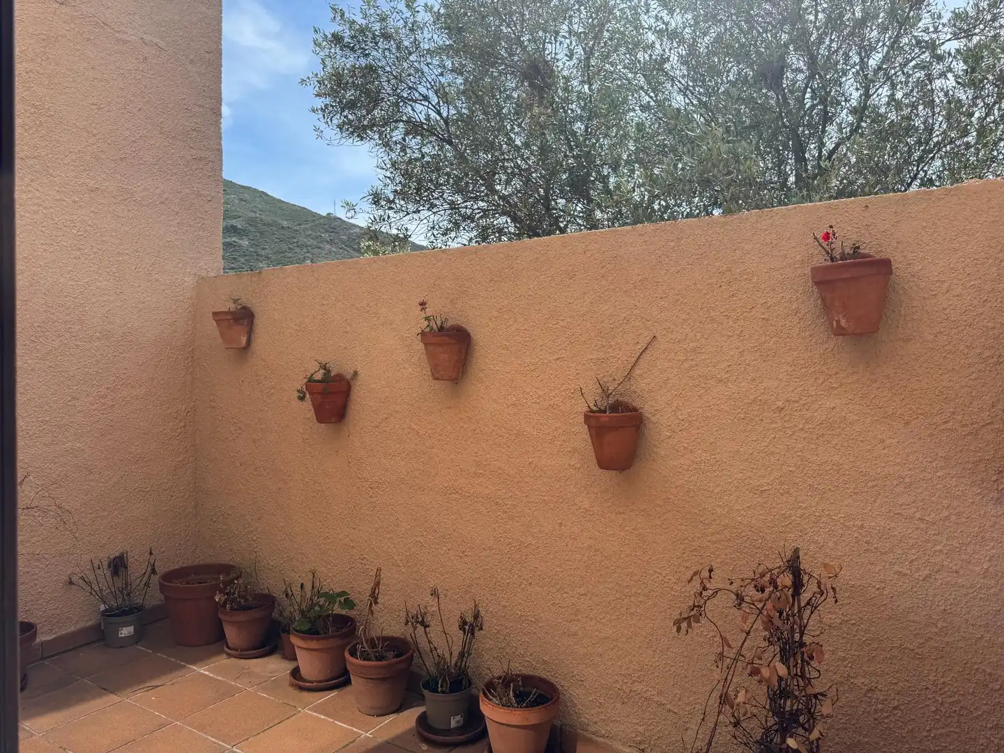 Terrassa de Casa o xalet en venda en Llançà amb Aire condicionat, Calefacció i Jardí privat
