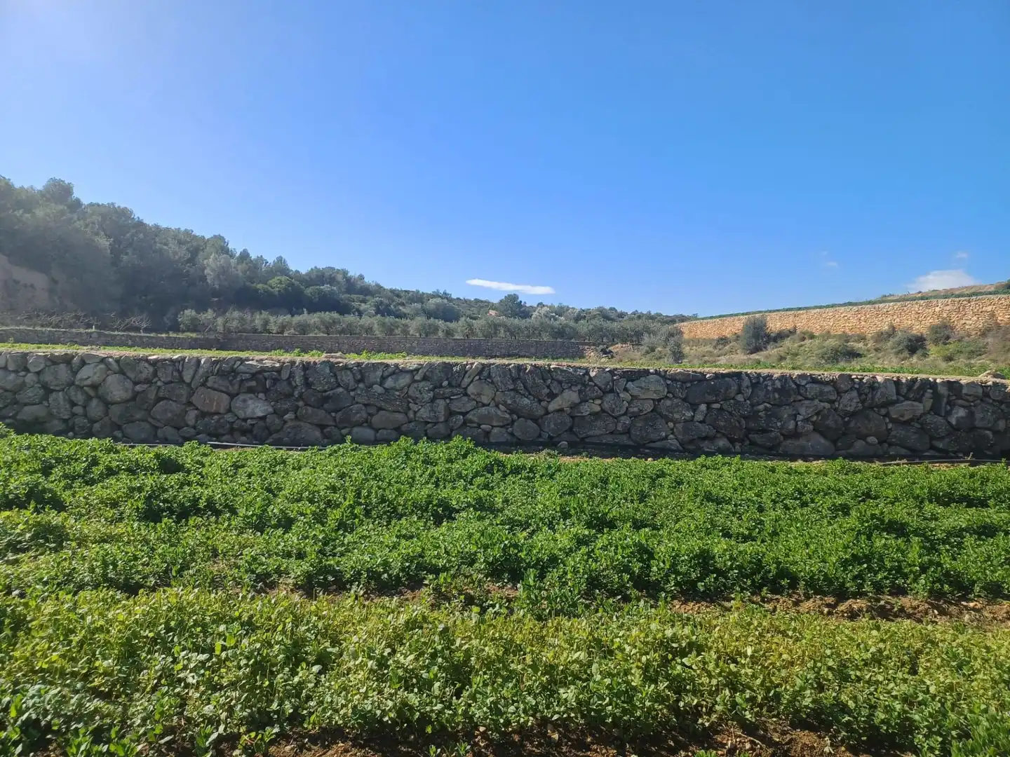 Terreno en venta en Tortosa