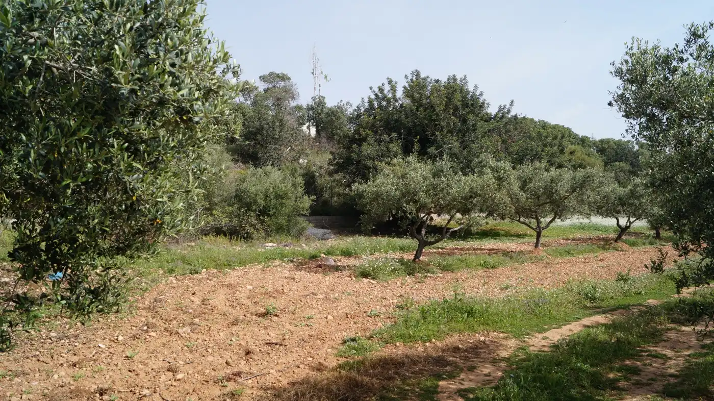 Terreno en venta en Torredembarra
