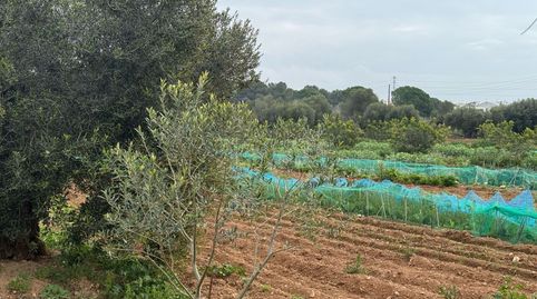 Finca Rúst. en venta en Torredembarra., imatge 4