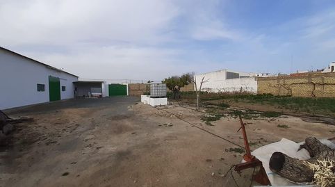 Foto 4 de Casa o chalet en venta en Estación - La Fontanilla - El Tinte, Utrera