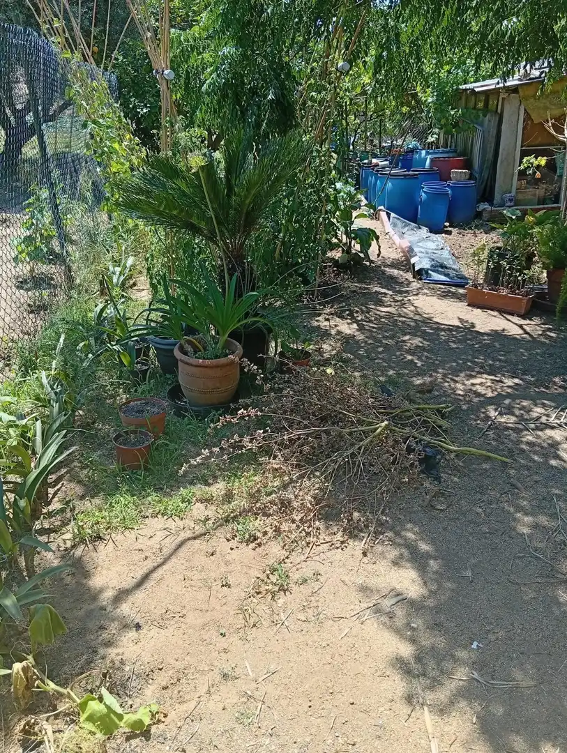 Jardín de Terreno en venta en Calella