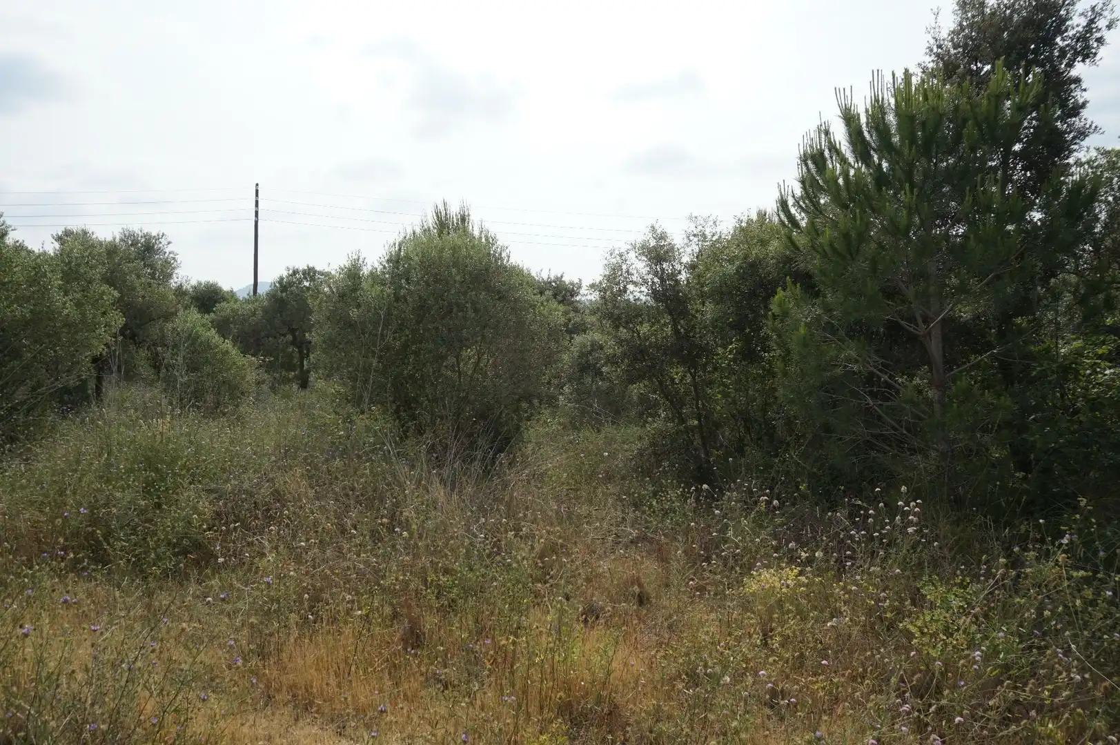 Maison rustique à vendre à Les Borges del Camp, imagen 6
