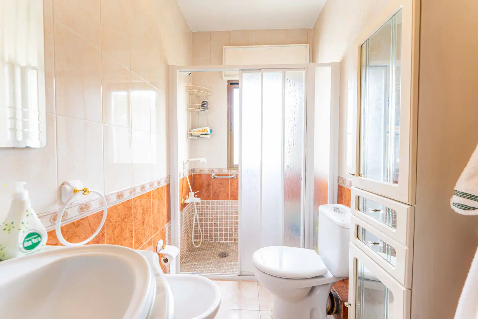 Baño de Casa o chalet en venta en El Álamo con Aire acondicionado, Jardín privado y Terraza