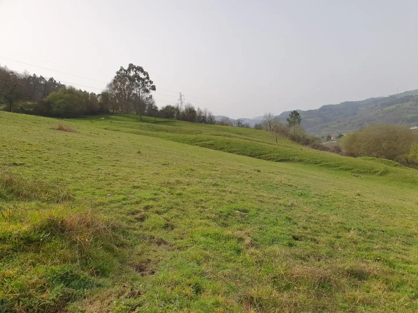 Maison rustique à vendre à Grado, imagen 17