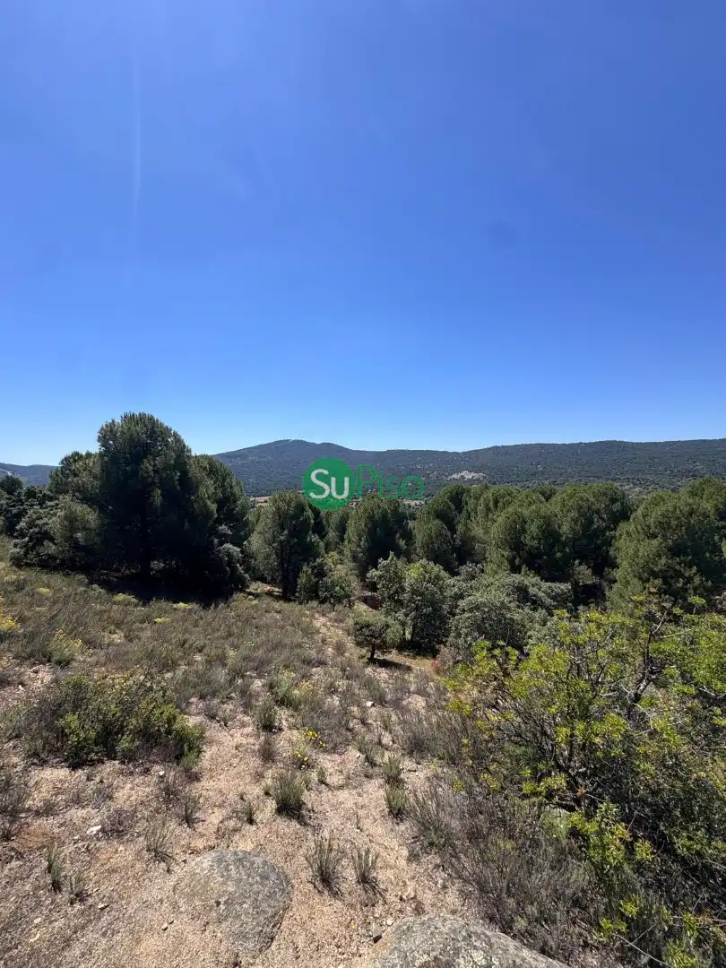 Casa o chalet en venta en San Martín de Valdeiglesias con Jardín privado