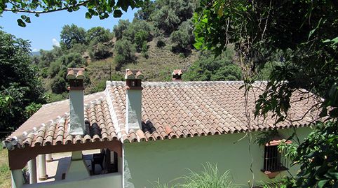 Foto 2 de Finca rústica en venta en Genalguacil, Málaga