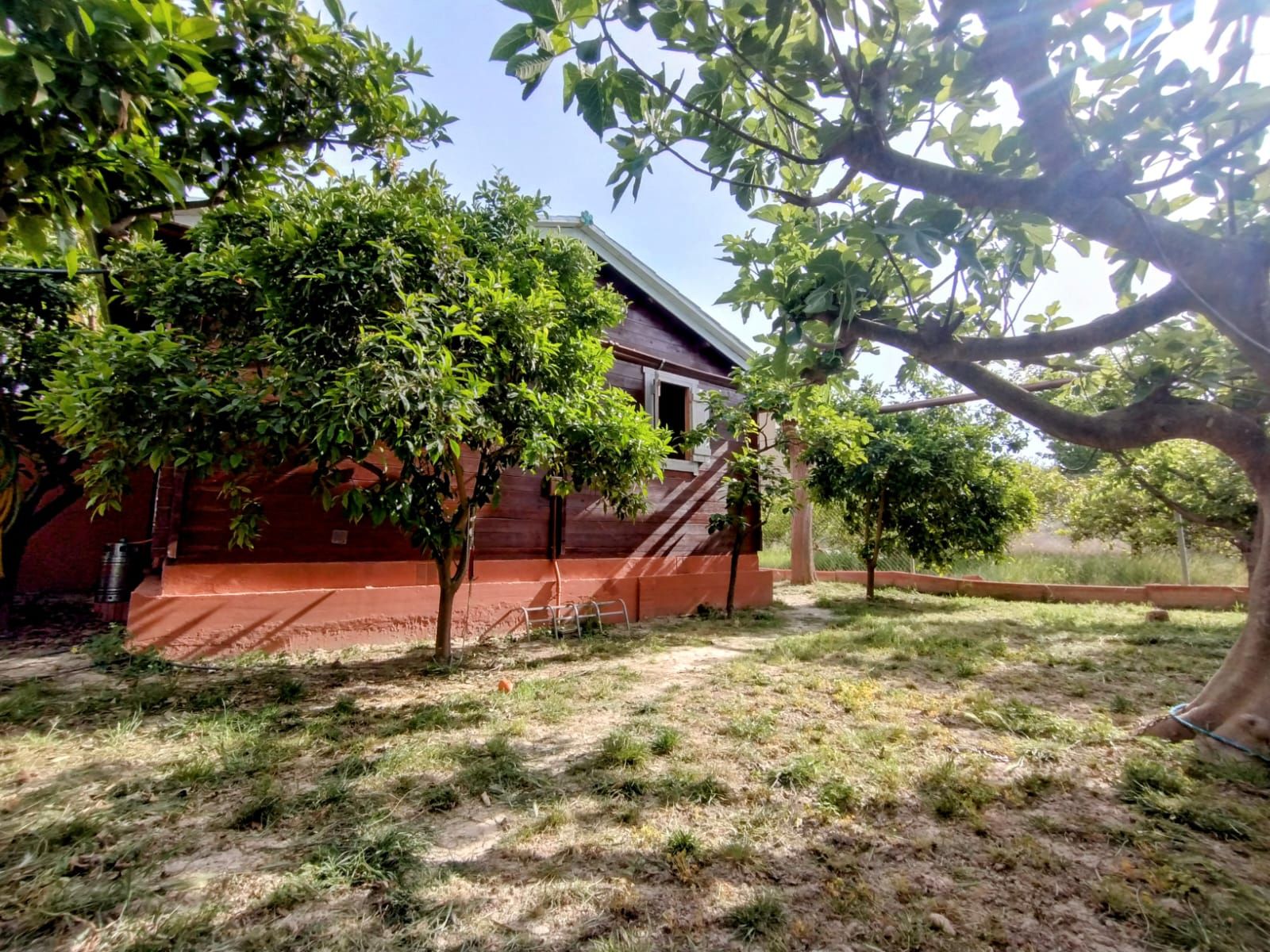 Vista exterior de Casa o xalet en venda en  Murcia Capital amb Jardí privat i Moblat