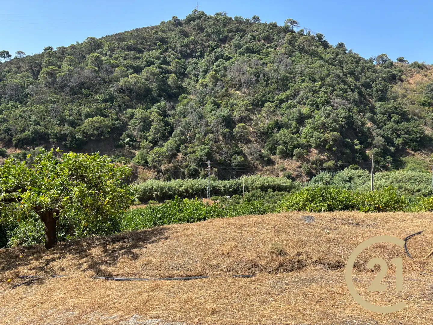 Land for sale in Estepona