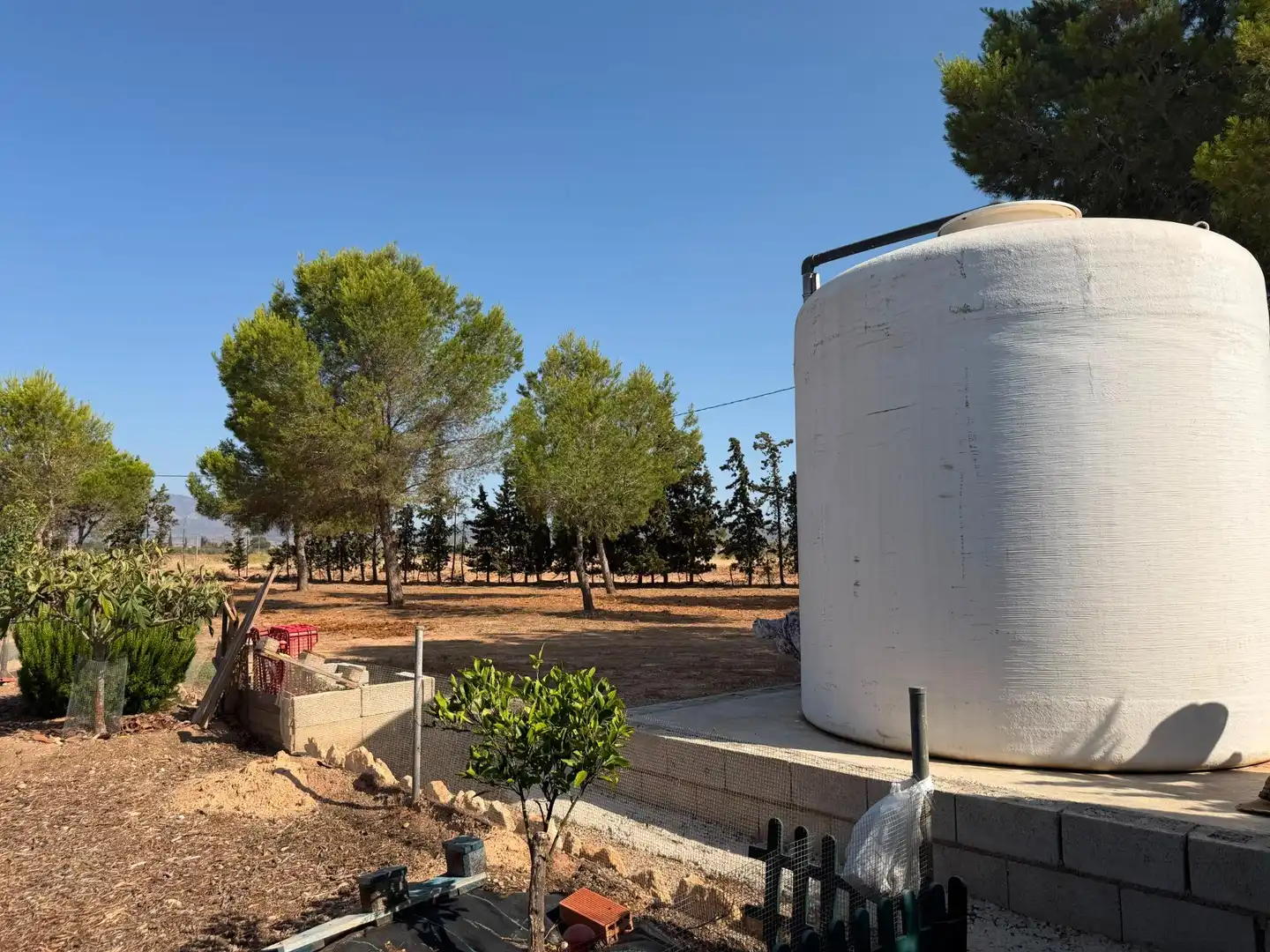 Jardí de Finca rústica en venda en Murcia amb Piscina