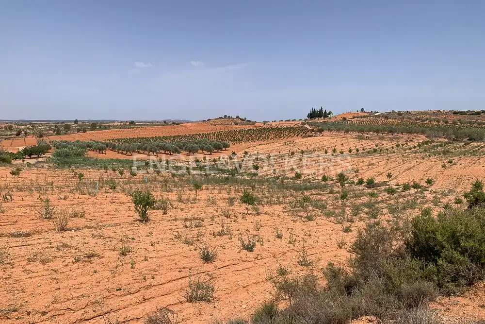 Lands and plots for sale in Requena, imagen 38