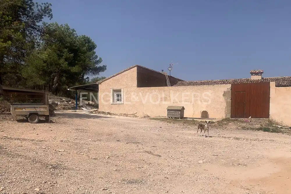 Lands and plots for sale in Requena, imagen 3